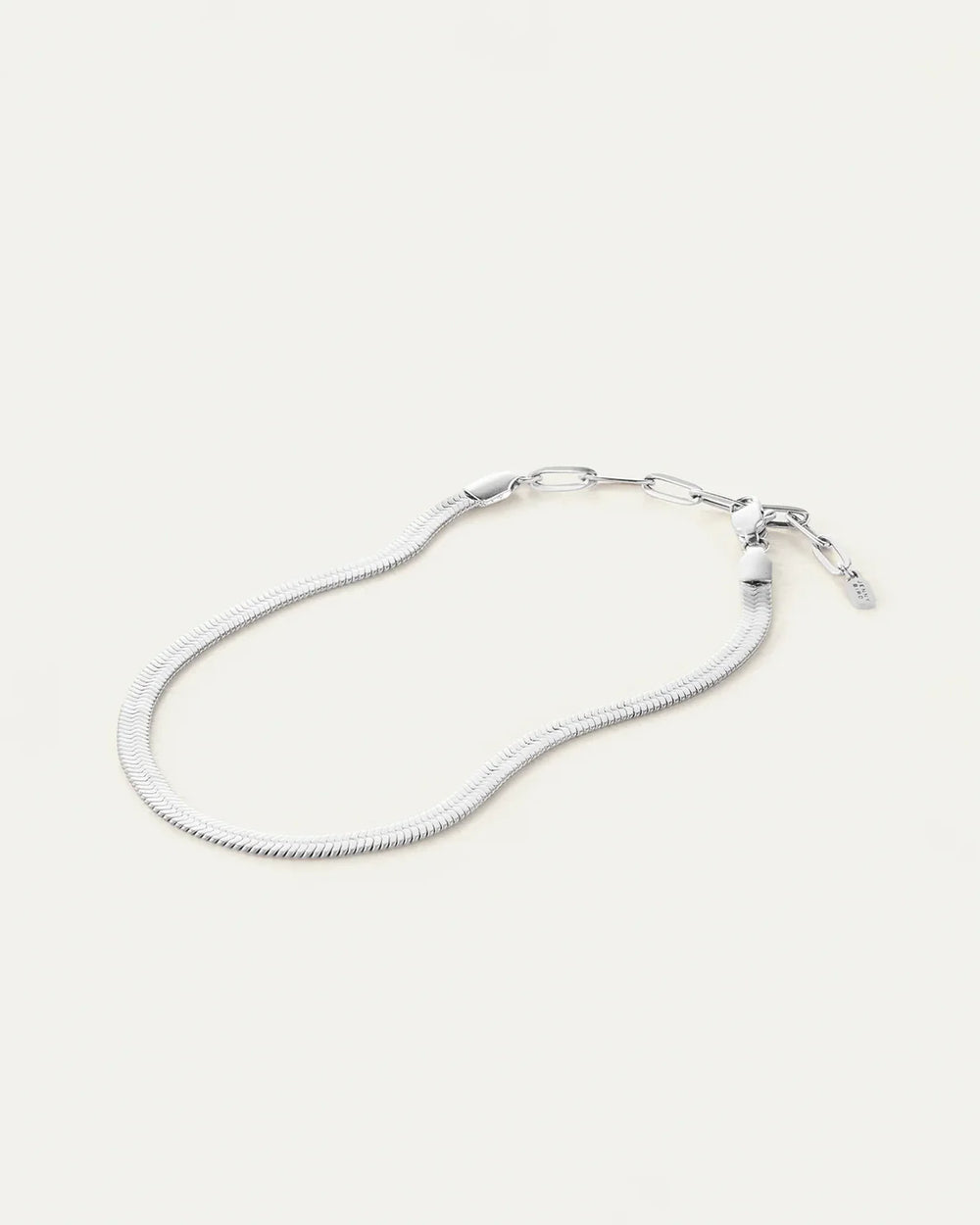 Snake Chain Anklet